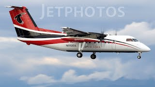 Ravn Air Alaska Dash8 Q100 N892EA Landing At Anchorage Ted Stephens [upl. by Meehar]