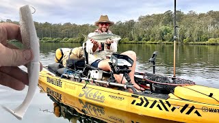 Topwater Winter Fishing the Clyde River in Batemans Bay Overnighter  homemade lure off surface [upl. by Brenna]