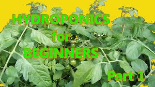 Hydroponics for Beginners DWC homemade DIY Under 50 Part 1 [upl. by Adiela]