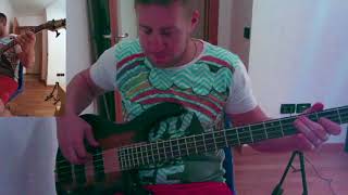 rave on  buddy holly bass cover [upl. by Isoj]