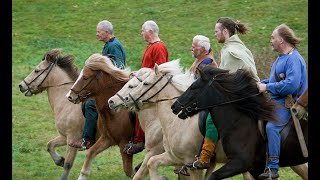 Islandshesten The Islandic Horse Historisk Hesteshow i Sagnlandet Lejre Denmark [upl. by Eelhsa]