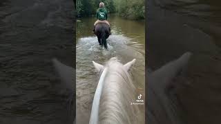 Somerford park farm ride [upl. by Mandi320]