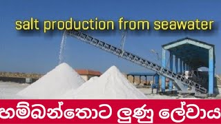 salt production from seawater හම්බන්තොට ලුණු ලේවාය [upl. by Dnalrag379]