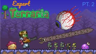 Minishark Mayhem  Expert Terraria Pt2 [upl. by Lramaj719]