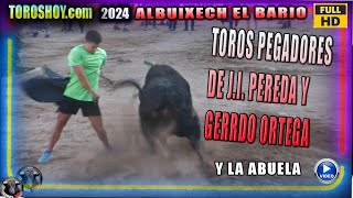 ALBUIXECH EL BARIO 2024 ✅ TOROS DE GERARDO ORTEGA Y PEREDA Y CONCURSO DE RECORTES NIÑOS TOROS TV [upl. by Goto]