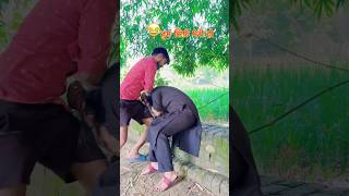 Omg 😱 Upboyraj Comedy 🤣😂 upboyraj upboyrajcomedy [upl. by Hortensia]