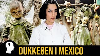 DUKKEØEN I MEXICO [upl. by Epilef]