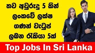 තව අවු5 කින් ලක්ෂ ගනන් වැටුප් ඇති රැකියා 5ක්  Top Jobs in Sri Lanka [upl. by Erdnaet]