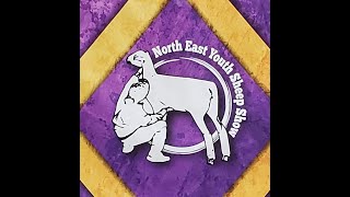 Northeast Youth Sheep Show  RING 1 Sunday July 21 2024  800 AM [upl. by Anhaj244]