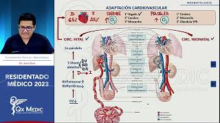 Adaptación cardíaca en neonatos [upl. by Anaud196]