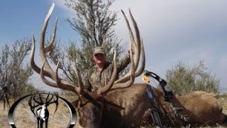 443quot and 403quot MONSTER Archery Elk Hunts Free Range  MossBack [upl. by Fair]