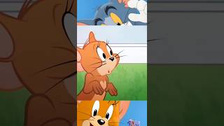 Tom ninja 🥷  Tom and Jerry tomandjerry tom edit cartoon tomedit mangomangophonk [upl. by Vicki]