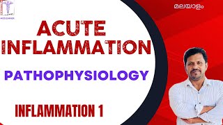 Inflammation Malayalam Acute Inflammatory Response Pathophysiology Malayalam Events of Inflammation [upl. by Gensmer]