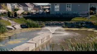 Waterlife  Official Trailer [upl. by Perice955]