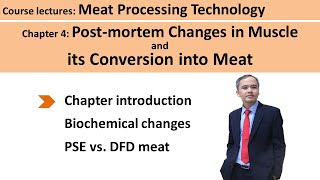 C401 postmortem changes in muscle Meat Technology [upl. by Llenroc445]