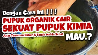 DENGAN CARA INI PUPUK ORGANIK CAIR BISA SEKUAT PUPUK KIMIA MAU  Tanaman Subur amp Tanah Sehat [upl. by Sarkaria]