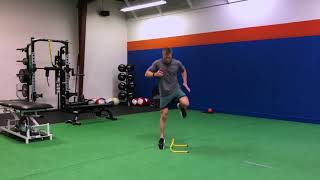 1leg MedialLateral Low Hurdle Hop wStick [upl. by Wira]