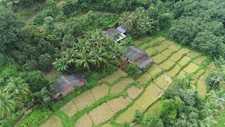 Jambhrun Village in Ratnagiri A Dream of Mother Nature [upl. by Odlo425]