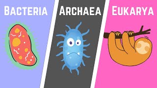 The Three Domains of Life BacteriaArchaeaEukarya [upl. by Imtiaz498]