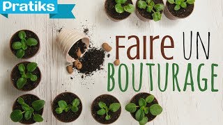 Comment faire un bouturage [upl. by Erotavlas207]