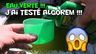 Algorem  Jai testé  estil dangereux pour les poissons  produit contre leau verte de bassin [upl. by Chasse971]