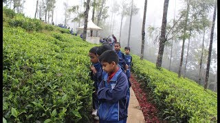 St Josephs Academy Coonoor The Nilgiris Tea Park  Field Trip 2017  Class 3B amp 3C [upl. by Silliw]