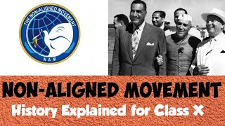 NonAligned Movement NAM  World History  ICSE Class X  Explained in English and Hindi [upl. by Nyhagen]