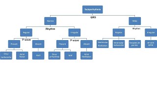 arrhythmia part 1 ECG approach and treatment [upl. by Suivart]