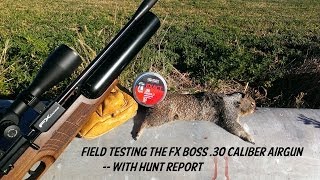 Field Testing the FX Boss 30 Caliber Airgun with Hunt Report [upl. by Anegroeg]