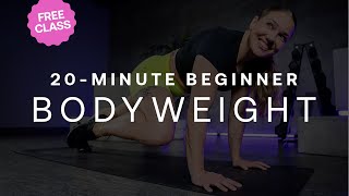 20 Minute Beginner Bodyweight Workout [upl. by Ymerrej]