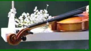 Helmut Zacharias  Violines Españoleswmv [upl. by Juliette]