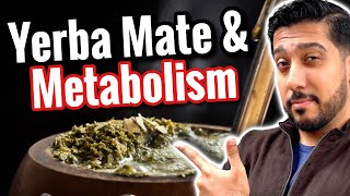 Yerba Mate for Beginners  Does Yerba Mate Promote Visceral Fat Loss [upl. by Meave]