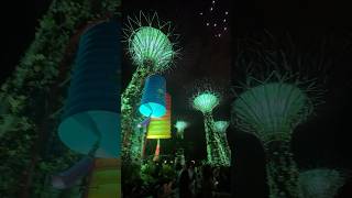 Beautiful Supertree Singapore shorts supertreegrove gardensbythebay singapore [upl. by Oeflein826]