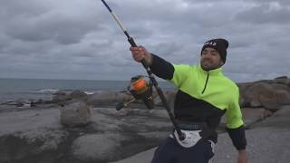 German Fisherman Catches Huge Shark in Australia [upl. by Ayam]