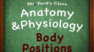 Introduction To Anatomy Physiology Body Positions 0106 [upl. by Roath638]