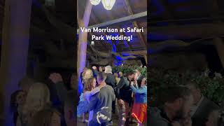 Moondance by Van Morrison worked great at a recent San Diego wedding moondance safariparkwedding [upl. by Aretse967]