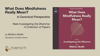 What Does Mindfulness Really Mean  A Canonical Perspective [upl. by Aerdnas]