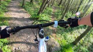 4K  Barnett Demesne Mountain Bike Trails  Belfast  April 2019 [upl. by Mordy]