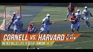 Cornell vs Harvard  2013 Laxcom College Highlights [upl. by Catlin286]