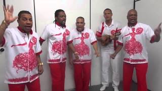 Serginho Xande Leonardo Bessa e Quinho cantam o samba do Salgueiro para o Carnaval de 2014 [upl. by Nisen]