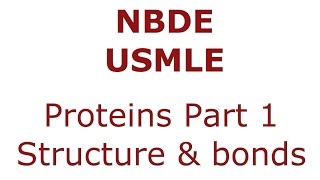 Proteins Part 1  Structure and Bonds  NBDE Biochemistry [upl. by Folsom]