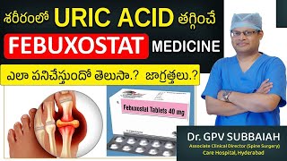 Febuxostat how it lowers blood URIC ACID levels amp precautions  Dr GPV Subbaiah [upl. by Kcirdef]