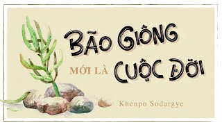 Sách nói Bão Giông Mới Là Cuộc Đời  Chương 1  Khenpo Sodargye [upl. by Brahear794]