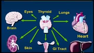 Thyroid problem solution with Amway Nutrilite [upl. by Ylyl713]