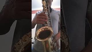 Saxofon Alto Si te Pudiera Mentir Calibre 50 [upl. by Atinal]