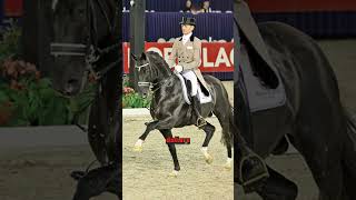 TOP 5 des chevaux les plus chers du monde animaux animals horse top top5 [upl. by Inal981]