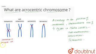 What are acrocentric chromosome [upl. by Liebermann522]