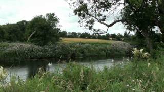 Te Deum  Bridgetown Priory Blackwater Valley Ireland [upl. by Frankie321]