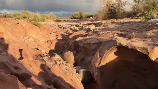 FLASH FLOOD in Arizona [upl. by Sisi]