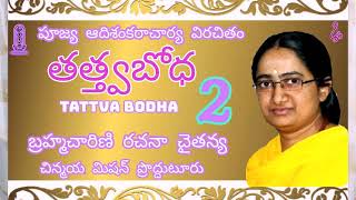 2  Tattva Bodha  Rachana ChaitanyajiChinmaya Mission Proddaturతత్త్వబోధ2Aadi Shankaraacharyaji [upl. by Annawak]